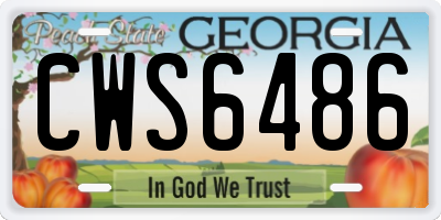 GA license plate CWS6486