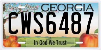 GA license plate CWS6487