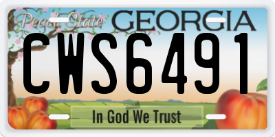 GA license plate CWS6491
