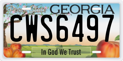 GA license plate CWS6497