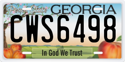 GA license plate CWS6498