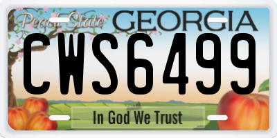 GA license plate CWS6499