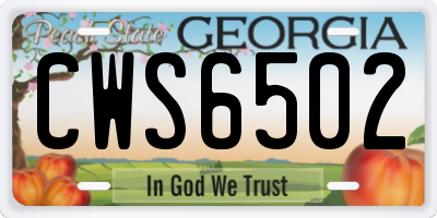 GA license plate CWS6502