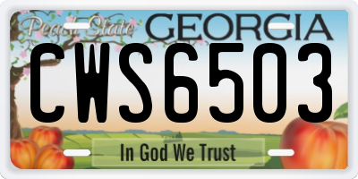 GA license plate CWS6503