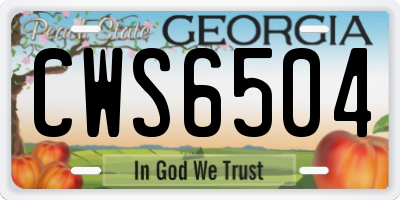 GA license plate CWS6504