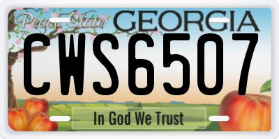 GA license plate CWS6507