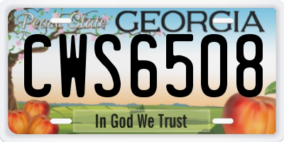 GA license plate CWS6508
