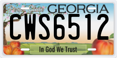 GA license plate CWS6512