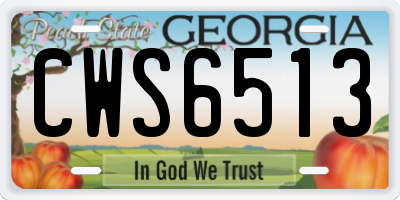 GA license plate CWS6513