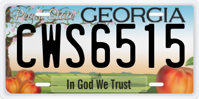 GA license plate CWS6515