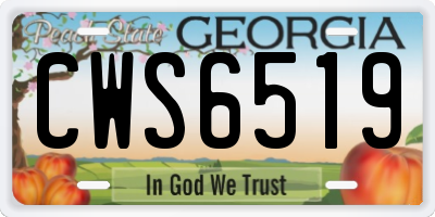 GA license plate CWS6519