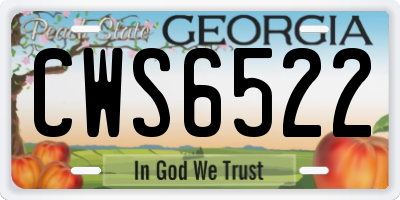 GA license plate CWS6522