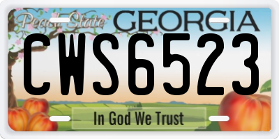 GA license plate CWS6523