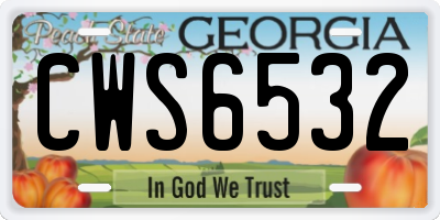 GA license plate CWS6532