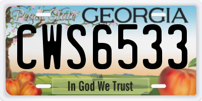 GA license plate CWS6533