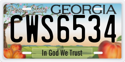 GA license plate CWS6534