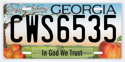 GA license plate CWS6535