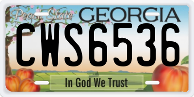 GA license plate CWS6536