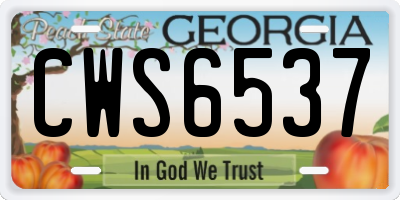 GA license plate CWS6537