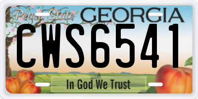 GA license plate CWS6541