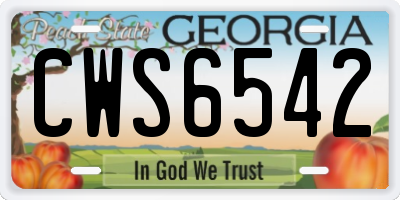 GA license plate CWS6542