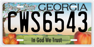 GA license plate CWS6543
