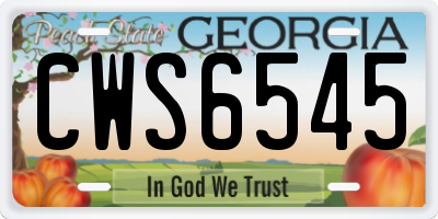 GA license plate CWS6545