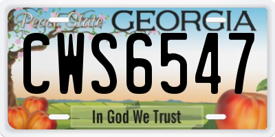 GA license plate CWS6547