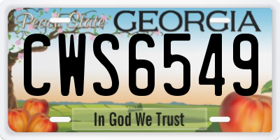 GA license plate CWS6549