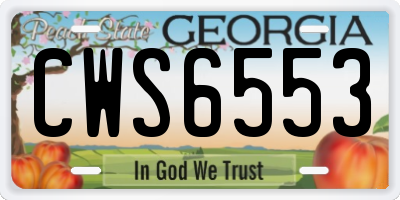 GA license plate CWS6553