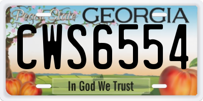 GA license plate CWS6554