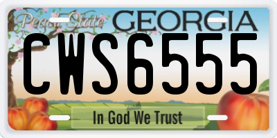 GA license plate CWS6555