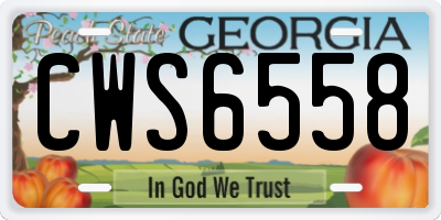 GA license plate CWS6558