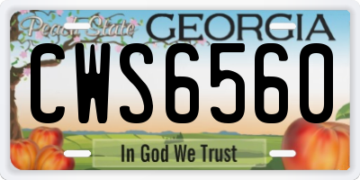 GA license plate CWS6560