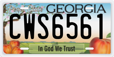 GA license plate CWS6561