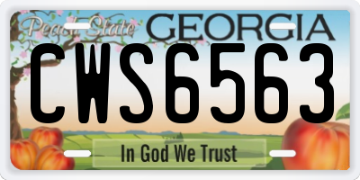 GA license plate CWS6563