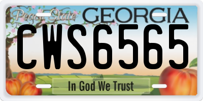 GA license plate CWS6565
