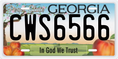 GA license plate CWS6566