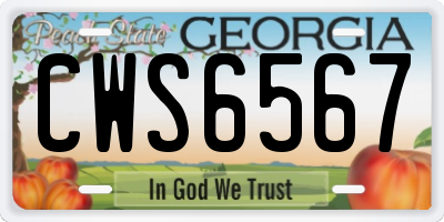GA license plate CWS6567
