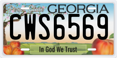 GA license plate CWS6569