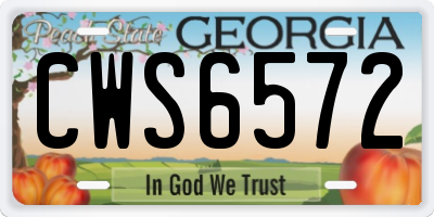 GA license plate CWS6572