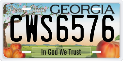 GA license plate CWS6576
