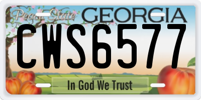 GA license plate CWS6577