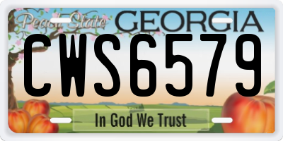 GA license plate CWS6579