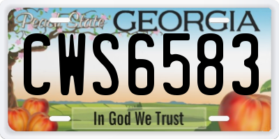 GA license plate CWS6583