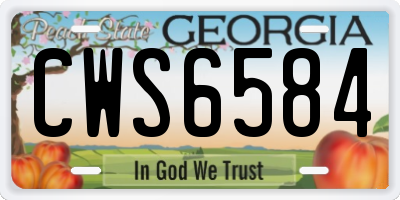 GA license plate CWS6584