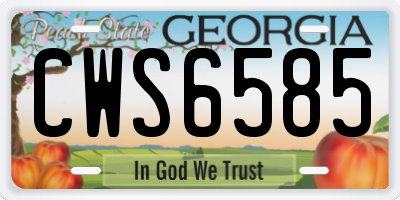 GA license plate CWS6585