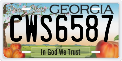 GA license plate CWS6587