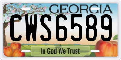 GA license plate CWS6589