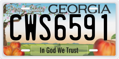 GA license plate CWS6591